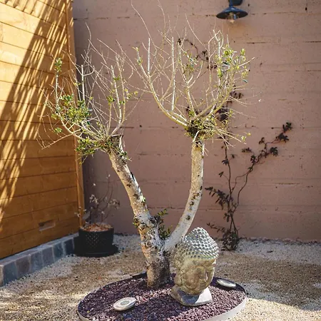 Semesterbostad La Maison D'ambre - Jacuzzi - Sauna- Clim Saumur