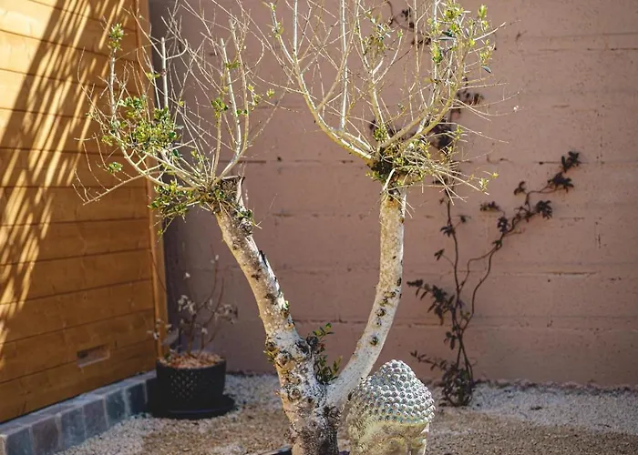 Hébergement de vacances La Maison D'ambre - Jacuzzi - Sauna- Clim Saumur